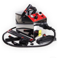 Профессиональный пароочиститель BIEFFE Magic Vapor RA,