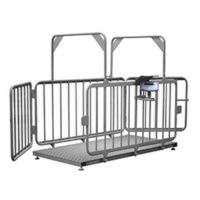 Весы для взвешивания животных ВСП4-1000.2 ЖСО-1020 (нержавеющие)