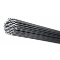 Шампура из нержавеющей стали для камер ктд-300/600 (5мм)